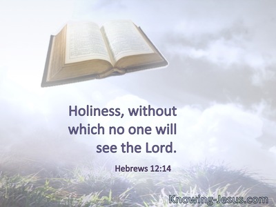 Holiness, without which no one will see the Lord.